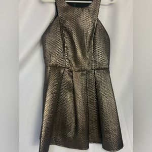 Woman's Fashion Union Gold, Bronze Metalic, Fit & Flare Dress